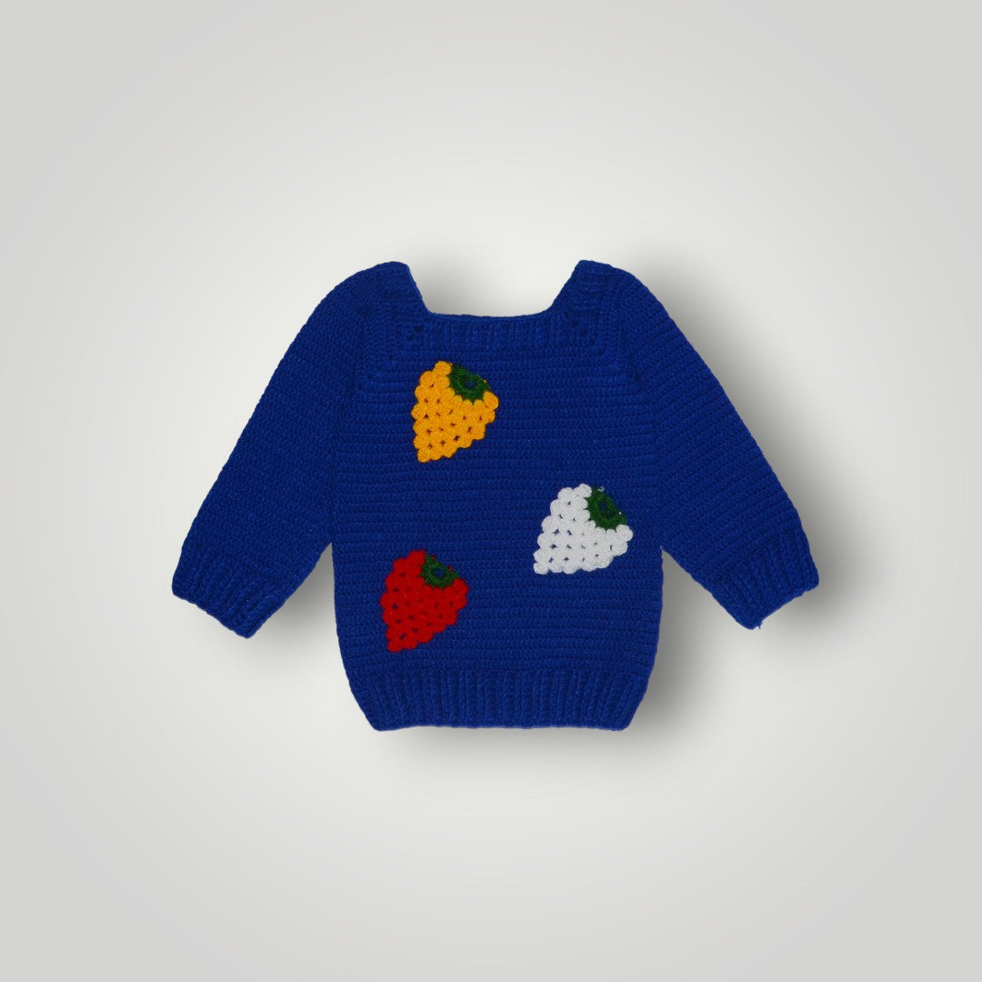 Order Handmade Woollen Online Beautiful Applique Sweater For Baby Boy
