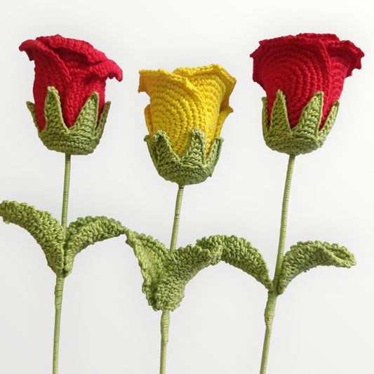 Red and yellow flower